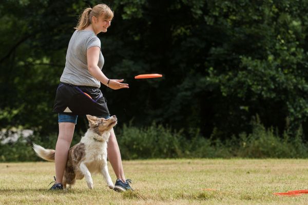 Trainingsrock für Hundehalter lila