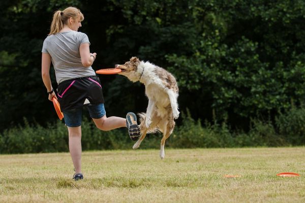 Trainingsrock für Hundehalter fuchsia