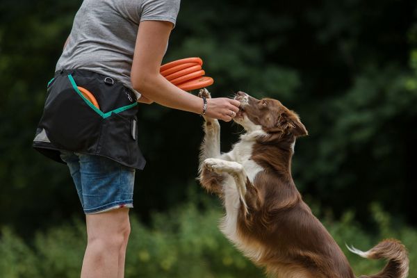 Trainingsrock für Hundehalter mintgrün